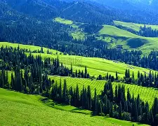 爱游戏-社区盾杯历届比赛结果